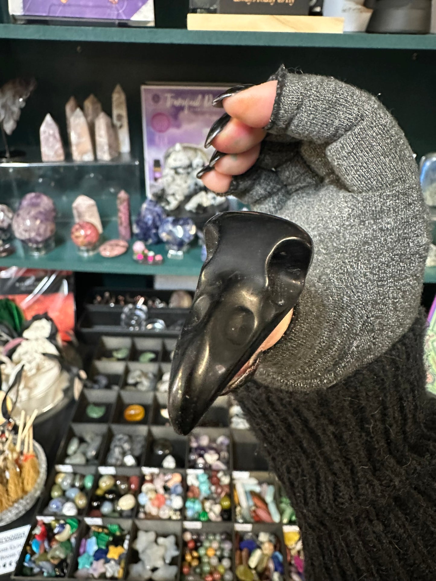 Raven Skull Obsidian Carving