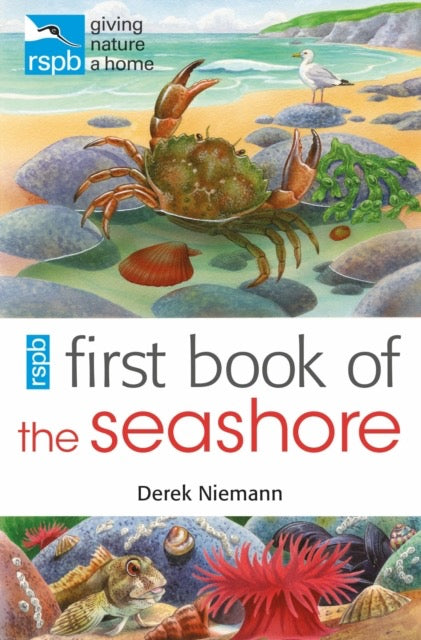 RSPB First Book Of The Seashore by Derek Niemann