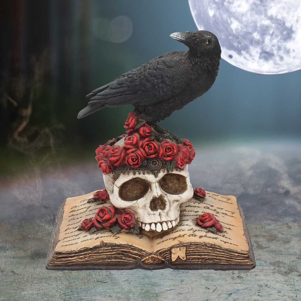 Raven on Skull on Book - 'Heartaches Reflections' - 17cm