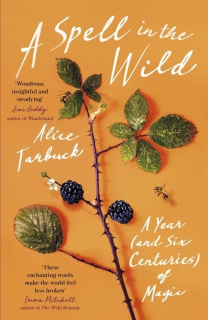A Spell in the Wild : A Year (and six centuries) of Magic by Alice Tarbuck