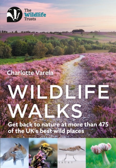 Wildlife Walks : Get back to nature at more than 475 of the UK's best wild places by Charlotte Varela