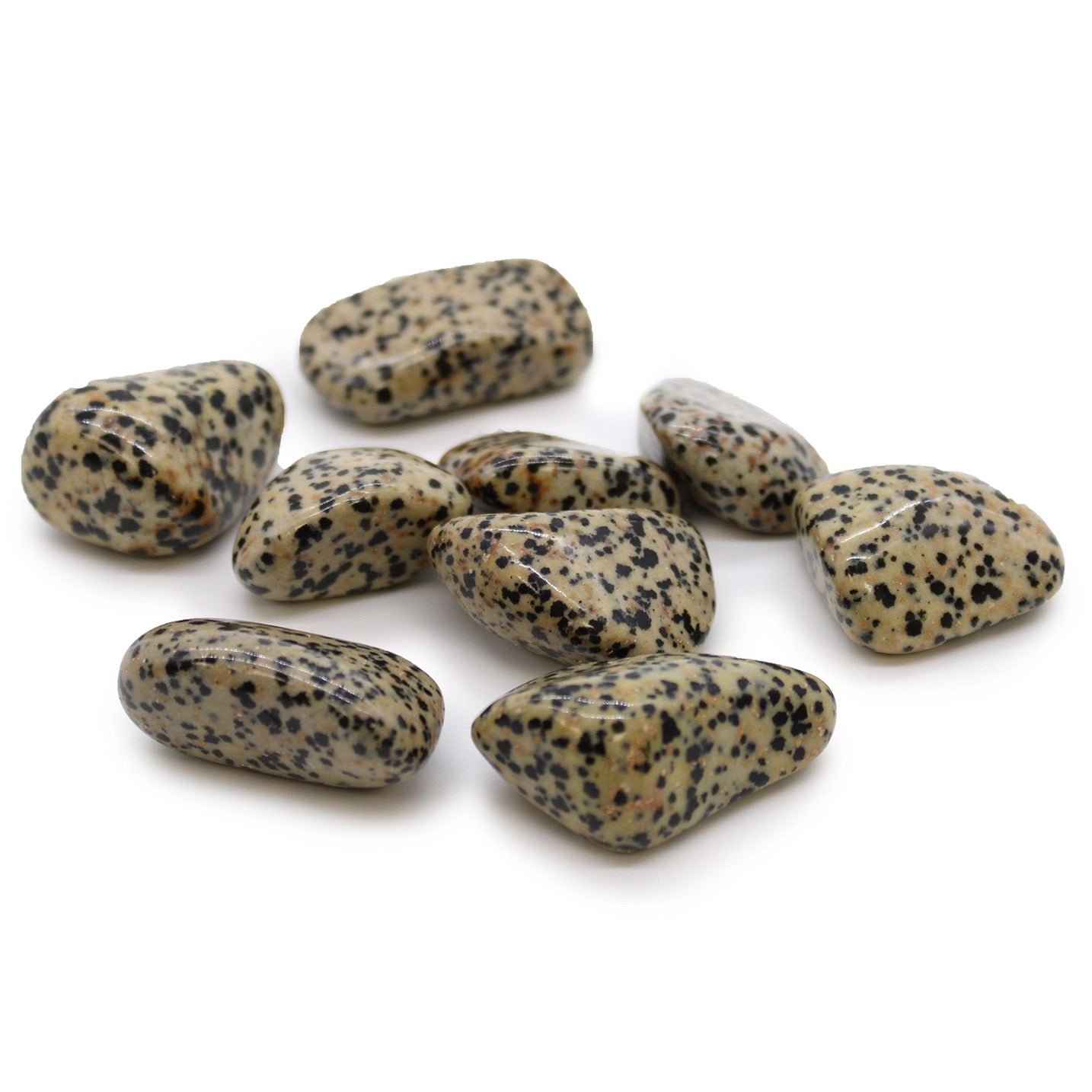 Dalmation Jasper Tumble Stone Crystal