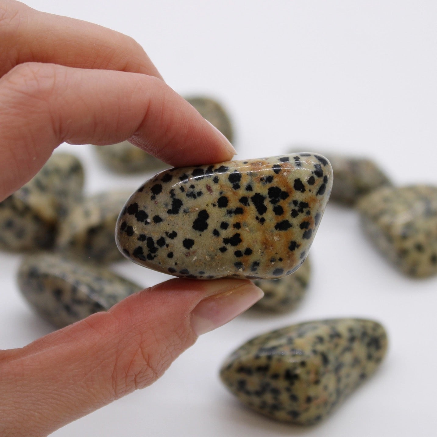 Dalmation Jasper Tumble Stone Crystal
