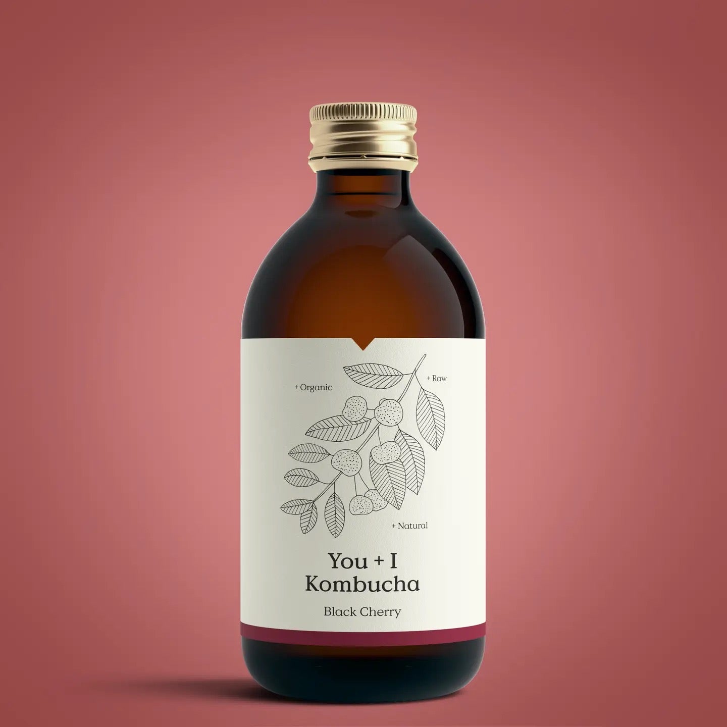 Kombucha | Black Cherry