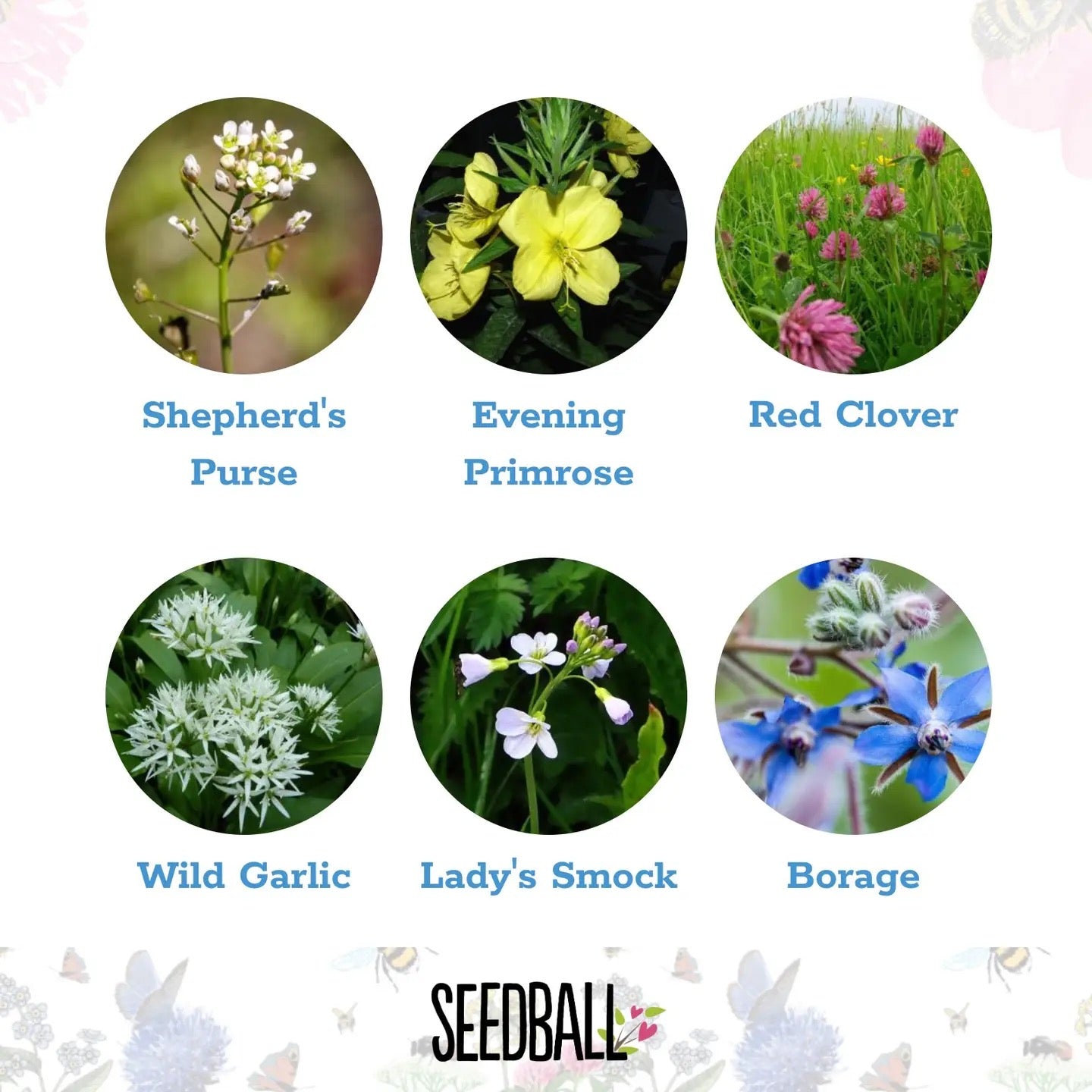 Seedball Wildflower Grab Bags - Edible Flowers