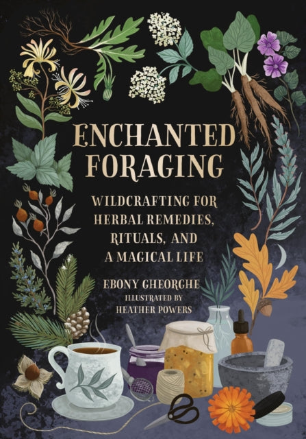 Enchanted Foraging : Wildcrafting for Herbal Remedies, Rituals, and a Magical Life by Ebony Gheorghe