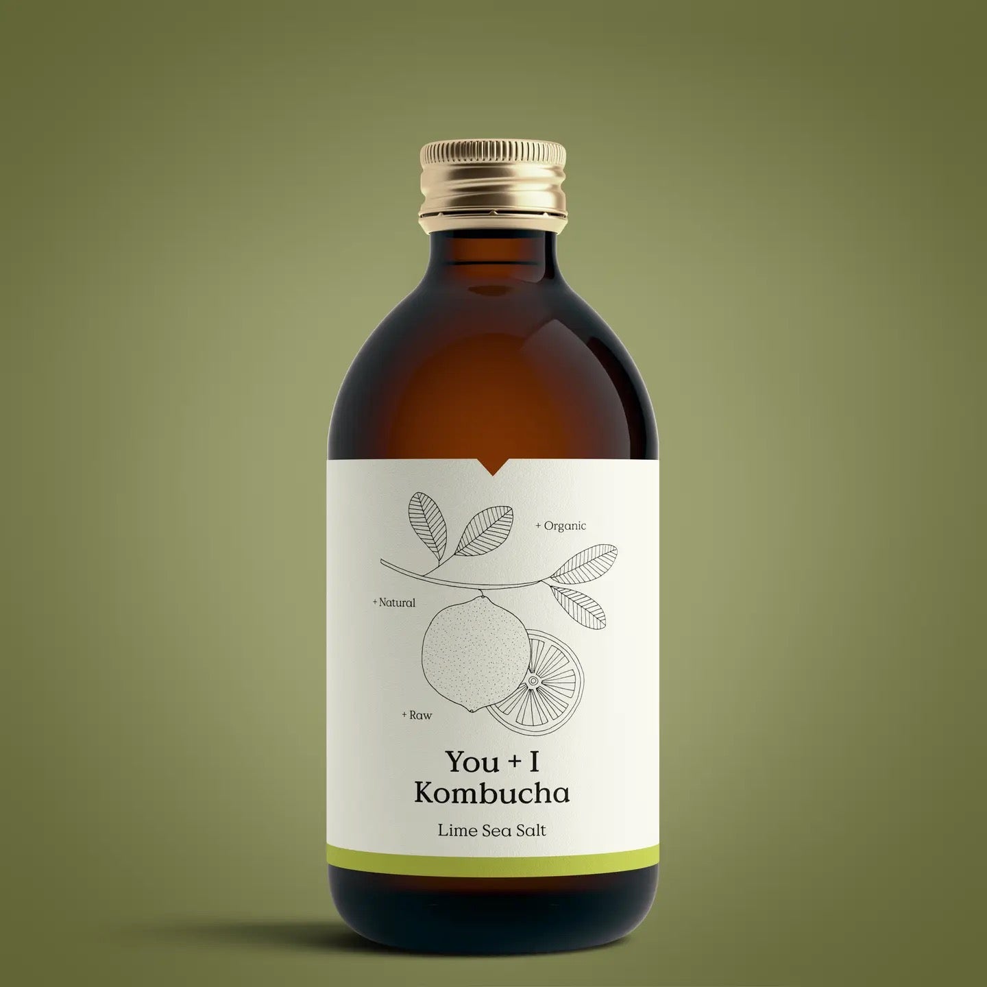 Kombucha | Lime and Sea Salt