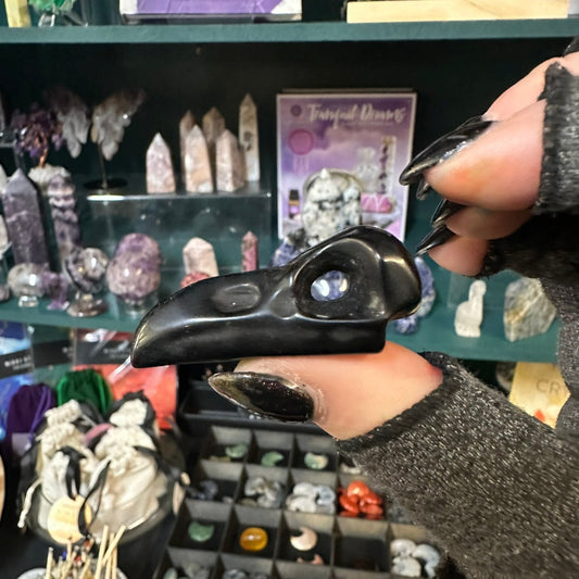 Raven Skull Obsidian Carving