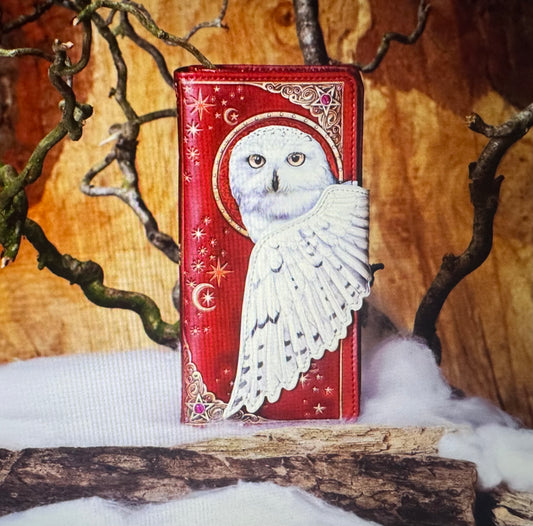 Magical Flight Witchy Owl Purse (18.5cm)
