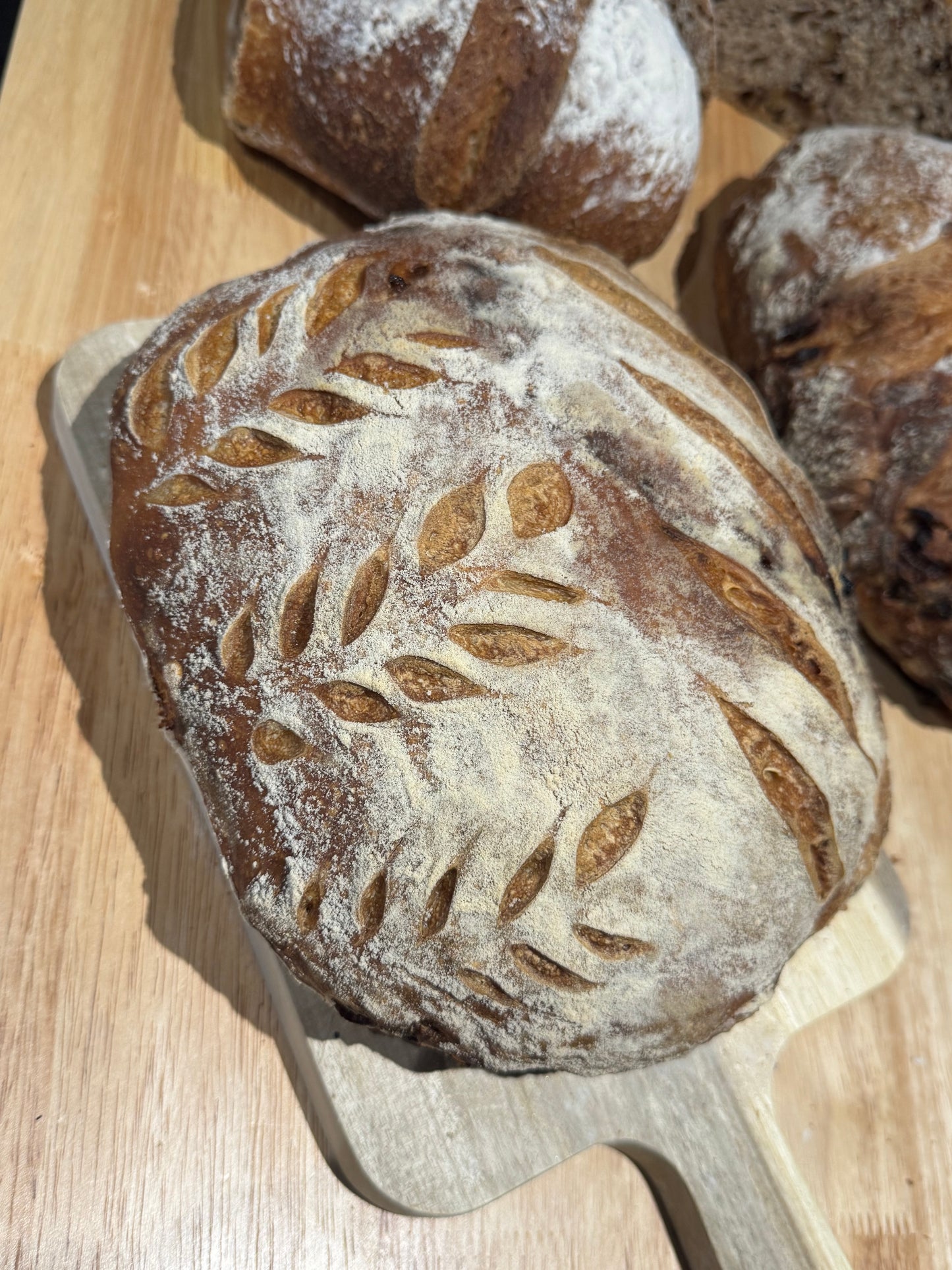 Sourdough Loaf | White