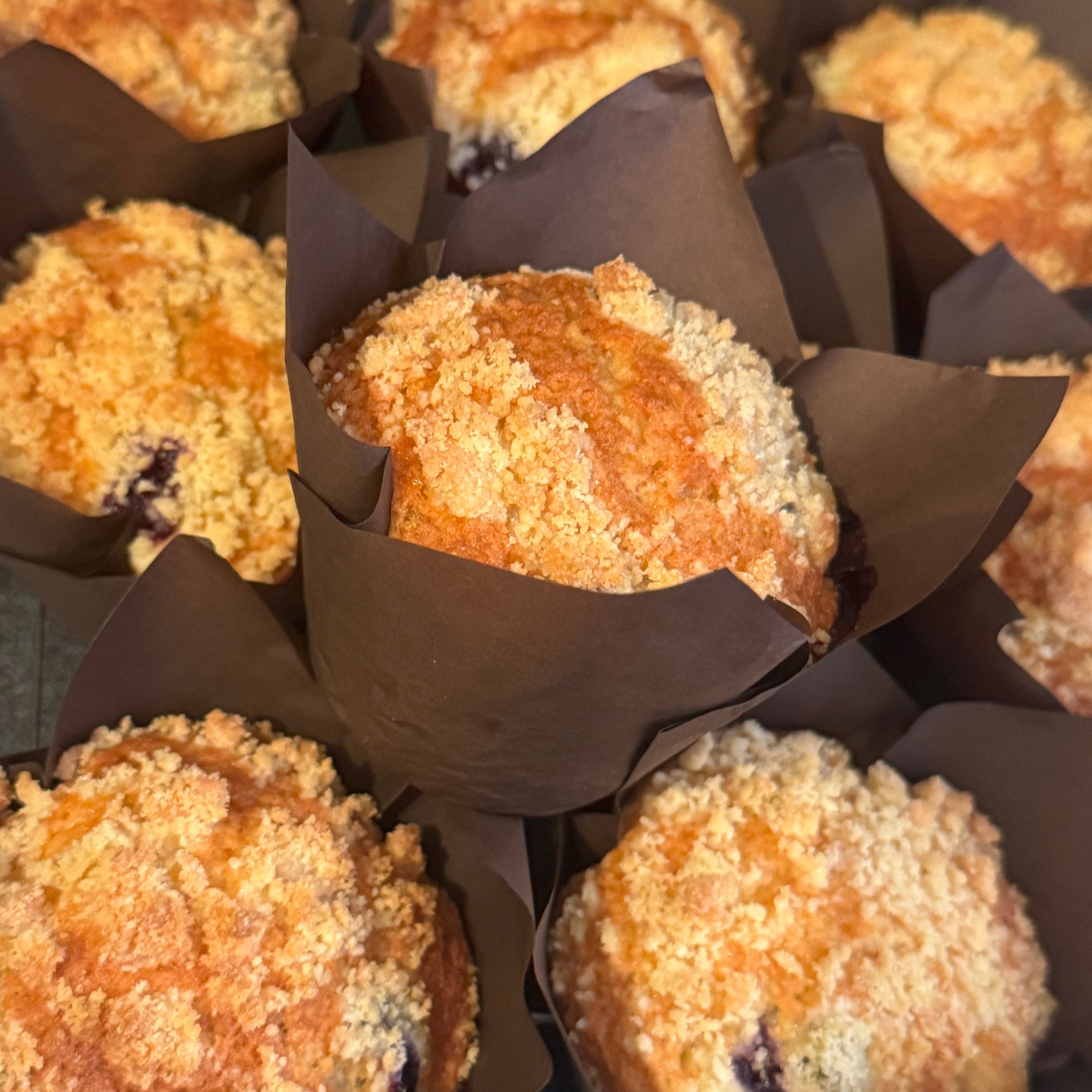 Blueberry muffins in brown paper cups on a gray surface
