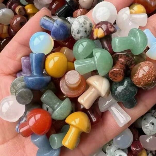Toadstool Polished Natural Stones and Gems