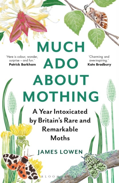 Much Ado About Mothing : A year intoxicated by Britain’s rare and remarkable moths by James Lowen