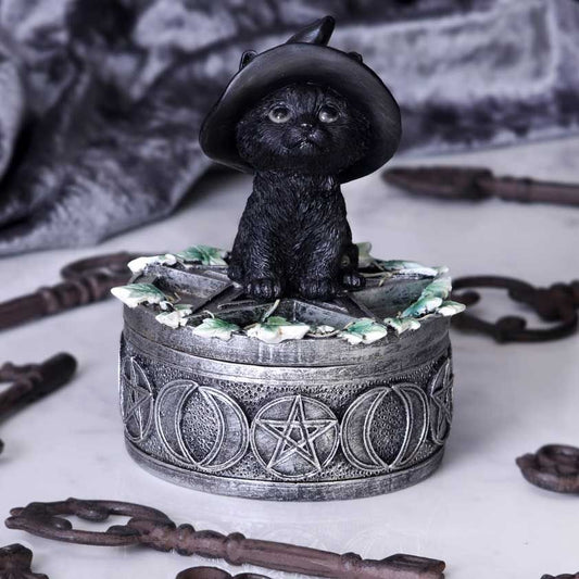 Witchy Black Cat and Ivy Trinket Box