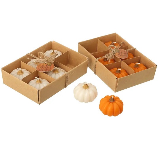 Pumpkin Candles - set of 6 -  choose from orange or white